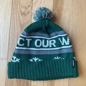 Patagonia “Protect Our Winters” Hat